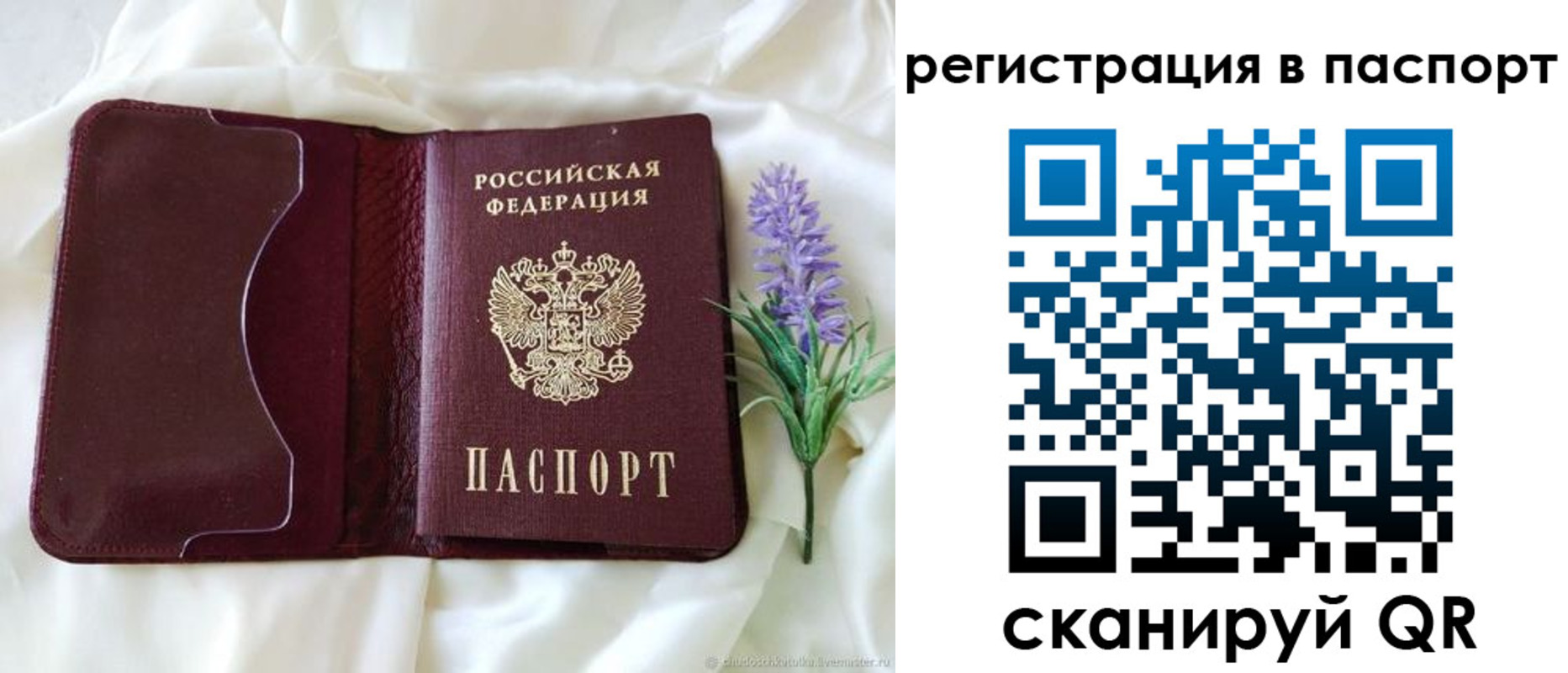 временная регистрация для всех в Заполярном